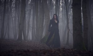 Три мушкетёра: Миледи (Les trois mousquetaires: Milady)