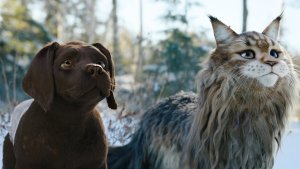 Кот и пёс (Chien & chat)