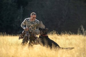 Сердце зверя (Heart of the Beast)