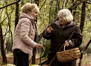 Что случилось осенью (Quand vient l'automne)