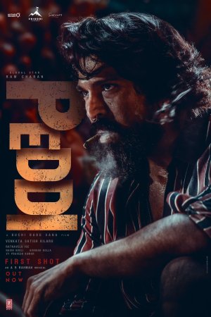 Педди (Peddi)