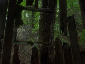 Нежить (In a Violent Nature)