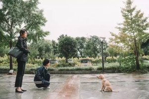Собачья жизнь: Друзья навек (Zai jian Li Kele)
