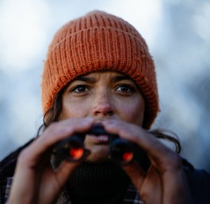 На высоте страха (The Occupant)