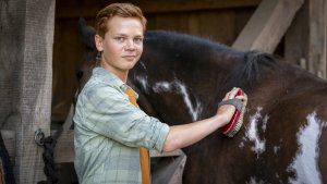 Дикое сердце (Ponyherz)
