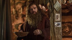 Гарри Поттер (Harry Potter)