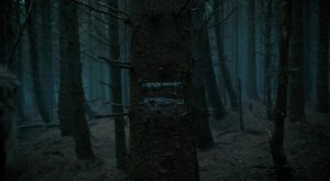 Смотрители (The Watchers)