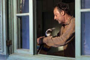 Мой пингвин (My Penguin Friend)