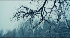 Горная невеста (Vermiglio)