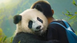 Моя панда (Moon le panda)