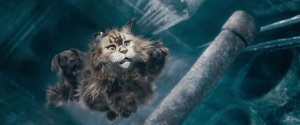 Кот и пёс (Chien & chat)