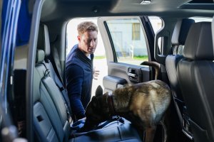 2 сезон 7 эпизод — «Man's Best Friend»
