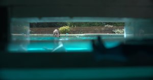 Проклятые воды (Night Swim)